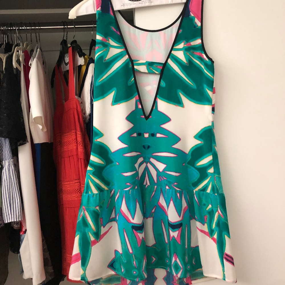 Twelfth Street by Cynthia Vincent Drop Waist Dress
